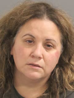 Levittown Woman Accused Of Hitting, Spitting On Officers, Police Say