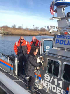 Drowning Dog Rescued By Quick-Acting Nassau County Cops