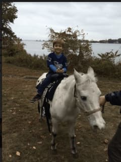 Darien's Holly Pond School Trots Out Pony Rides, Fun For Fundraiser