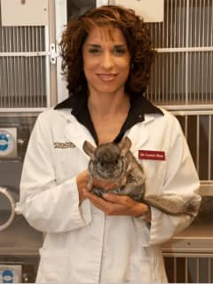 Interested In Exotic Pets? Area Vet To Discuss Topic At White Plains Event