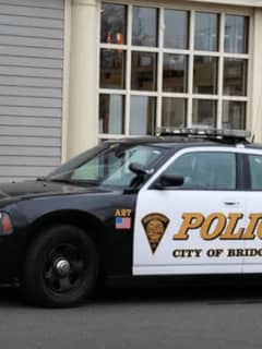 Bridgeport K-9 Officer, Dog Injured During Crash, Police Say