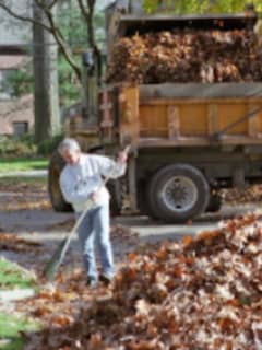 Bagged Leaf Collection Will Resume April 3 In Stratford