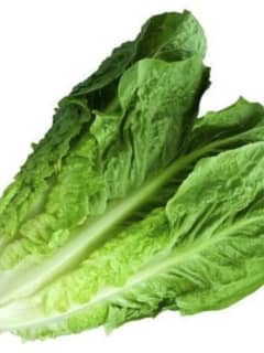 Avoid Romaine Lettuce For Now, Yonkers-Based Consumer Reports Says