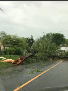 Two Killed In Danbury, New Fairfield During Storm