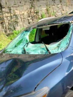 Deer Crashes Through Woman's Windshield In Fairfield County