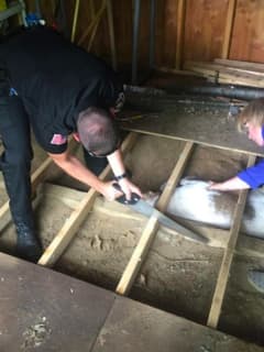 Dog Trapped Under Shed Rescued In Dutchess