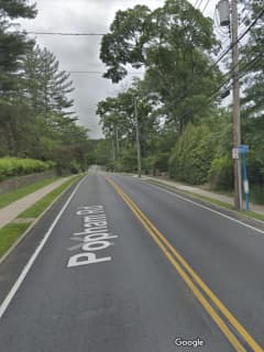 Two Suspects On Loose After Attempted Armed Robbery Of Westchester Woman Walking Dogs