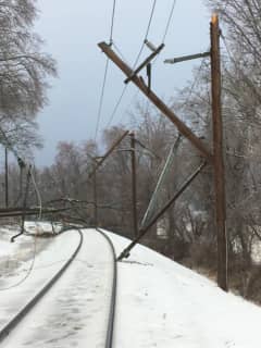 Wires, Branches On Track Suspend Service To NJ Transit Morris & Essex Line