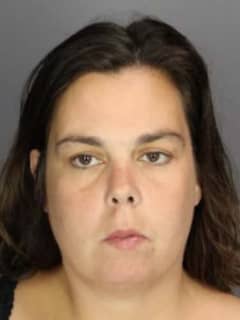 Seen Her? Area Woman Accused Of Grand Larceny At Large
