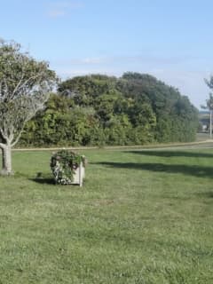 Person Taking A Walk Discovers Dead Man In Montauk Park