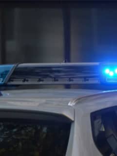 Drunk Nassau County Woman Crashes Into Police Cruiser, Cops Say