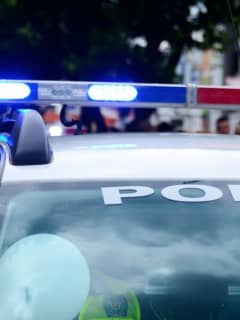Vehicle Burglaries On Rise, Mamaroneck Police Chief Says