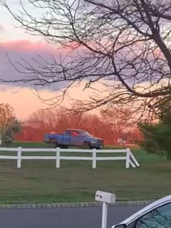 VIDEO: Mount Laurel Man Who Drove Pick-Up On Soccer Field Violated 'Stay At Home' Order