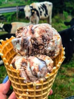 Area Ice Cream Shop Named Among Best In America