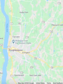 Woman Reports Seeing Bigfoot 'Swinging From Tree To Tree' In Dutchess