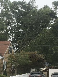 Isaias: Hundreds Of Thousands Now Without Power On Long Island; Some LIRR Service Suspended