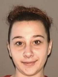 Woman Wanted For Stealing From Employer In Area, State Police Say