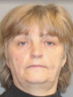 Wilton Woman Accused Of Throwing Dog Out Of Car Window, Police Say