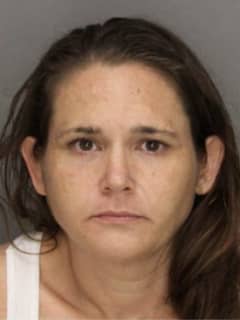 NY State Police Issue Alert For Woman Wanted On Multiple Charges