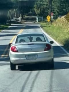 Police Seek ID For Vehicle Involved In Northampton County Gas Container Theft