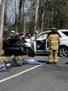Motorist, 56, Killed, 2 Others Hurt In Cape May Crash: State Police
