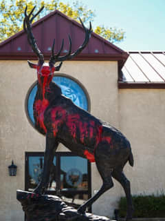 Know Anything? Elk Statue Vandalized In Front Of Hunterdon County Charity Lodge (PHOTOS)