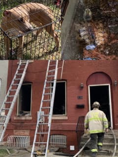 Two Dogs Dead, Other Animals Saved In DC House Fire