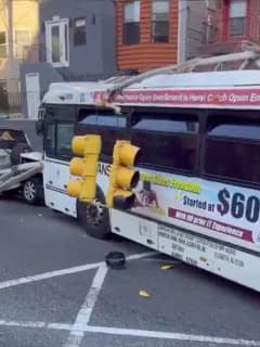 Bus Topples Traffic Pole In Weehawken