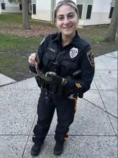 Baby Python Removed From Rutgers Dorm Room