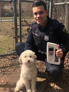 Cranford PD Using Tech To Return Lost Pets Faster