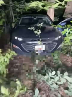 Car Crash Lands Deep In Woods After Striking Pedestrian In Maryland, Officials Say (VIDEO)