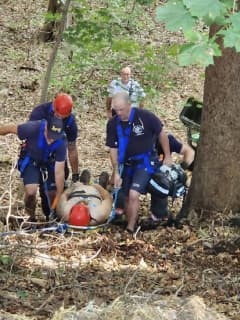Poughkeepsie Lawn Mower Accident Leads To Dramatic High-Angle Rescue