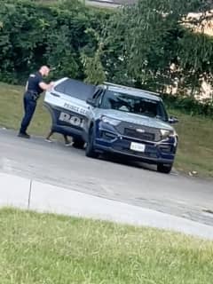 Officer Caught On Camera In Viral TikTok Video With Woman In Maryland Suspended