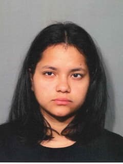 Northern Westchester Woman Nabbed For 'Cruelty To Persons'