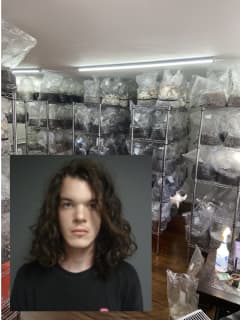 $8.5 Million Psychedelic Mushrooms Found In CT Grow House, Police Say