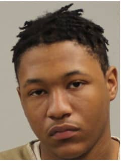 Teen Nabbed For Allegedly Hitting Police Car, Injuring K-9 In Westport