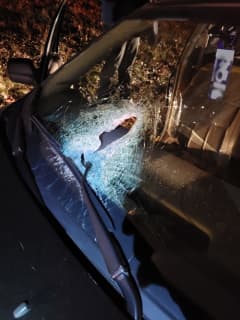 3 Juveniles Throw Rocks, Smash Windshields Of Moving Cars In Westchester: Police