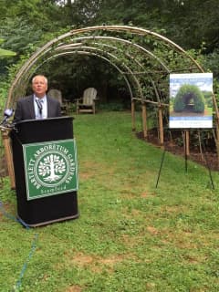 9/11 Arch Of Living Trees At Stamford's Bartlett Arboretum Honors Victims
