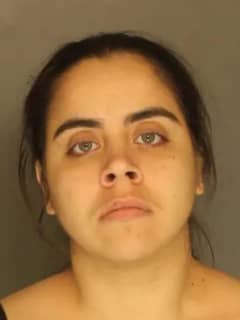 York Woman Charged With Felony For Attempting To Stab Man Who Disparaged Women