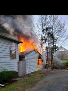 Woman, Dog Escape Raging Pearl River House Fire