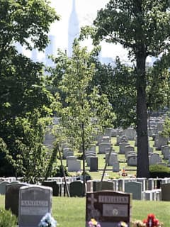 Tombstone Pins Bayonne Woman, 67, At North Arlington Cemetery