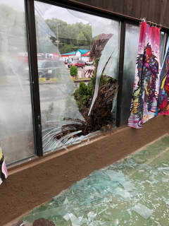 Car Slams Into Popular Dog Daycare Business In Mahopac