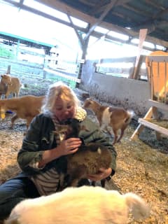 Stratford Native Lisa Miskella Gives Farm Animals A Home At Sanctuary