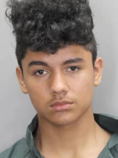 Teen Responsible For 9 Smash-And-Grab Fairfax County Burglaries: Police