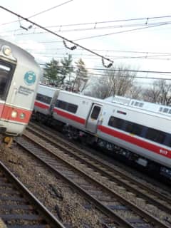 Metro-North Restores Train Service On New Canaan Branch After Fallen Tree