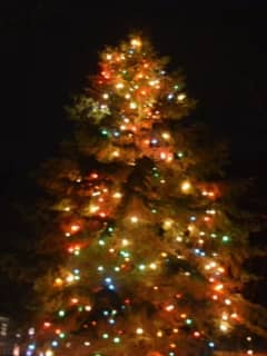 Pound Ridge Celebrates Season With Annual Tree Lighting 
