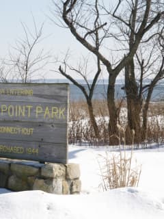 ID Released For Man Found Dead At Greenwich Point