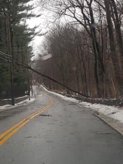 Storm Update: Greenburgh Has 13 Downed Trees -- And Counting
