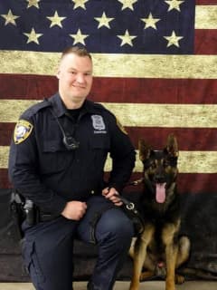 K9 Officer Helps Police Make Drug Bust At Jefferson Valley Mall