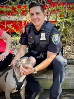Officer Rescues Dog From Third Floor Of Burning Building In Ossining